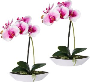 Creativ green Kunstorchidee Vlinderorchidee set van 2 in een plastic bakje (2 stuks)