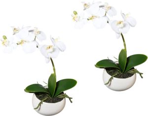 Creativ green Kunstorchidee Vlinderorchidee set van 2 in keramieken schaal (2 stuks)