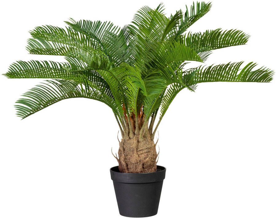 Creativ green Kunstpalm Cycaspalm (1 stuk)