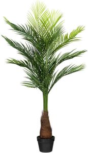 Creativ green Kunstpalm Gouden palm (1 stuk)