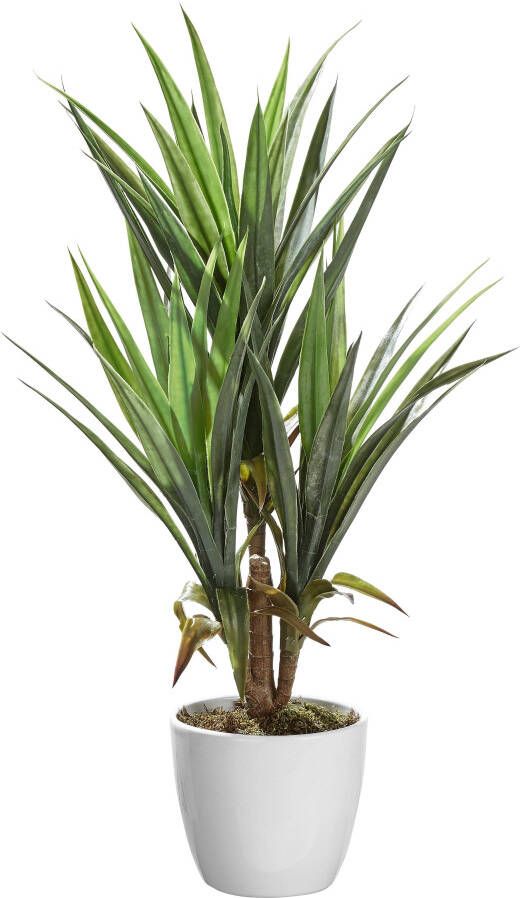 Creativ green Kunstpalm Palm (1 stuk)