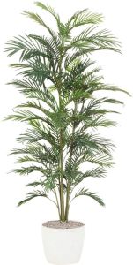Creativ green Kunstpalm Palm (1 stuk)