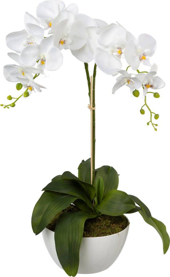 Creativ green Kunstplant (1 stuk)