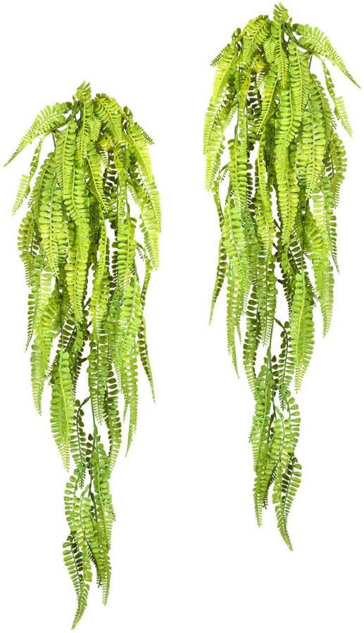 Creativ green Kunstplant Adianthumhanger (2 stuks)