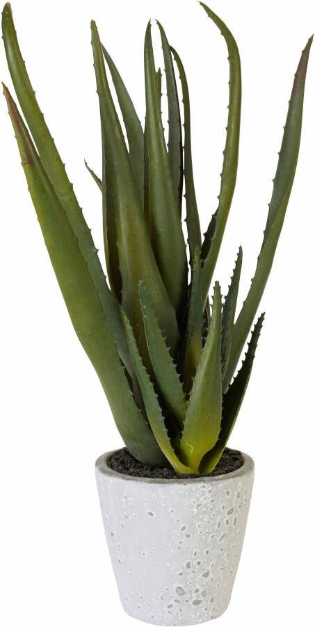 Creativ green Kunstplant Aloe (1 stuk)