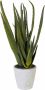 Creativ green Kunstplant Aloe (1 stuk) - Thumbnail 1