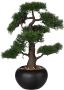 Creativ green Kunstplant Bonsai (1 stuk) - Thumbnail 1