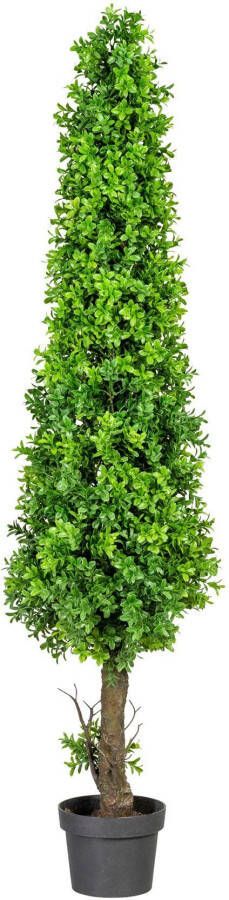 Creativ green Kunstplant Buxuspiramide in een plastic pot (1 stuk)