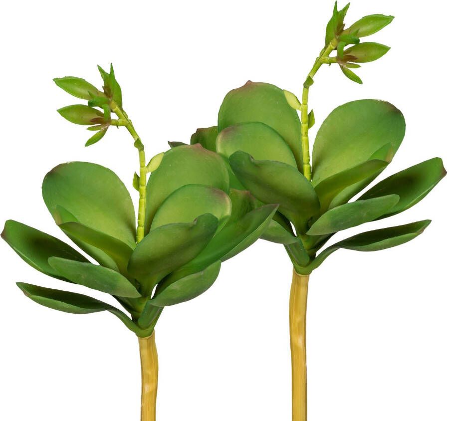 Creativ green Kunstplant Echeveria met bloem (3 stuks)
