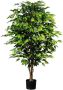 Creativ green Kunstplant Ficus Benjamini (1 stuk) - Thumbnail 1