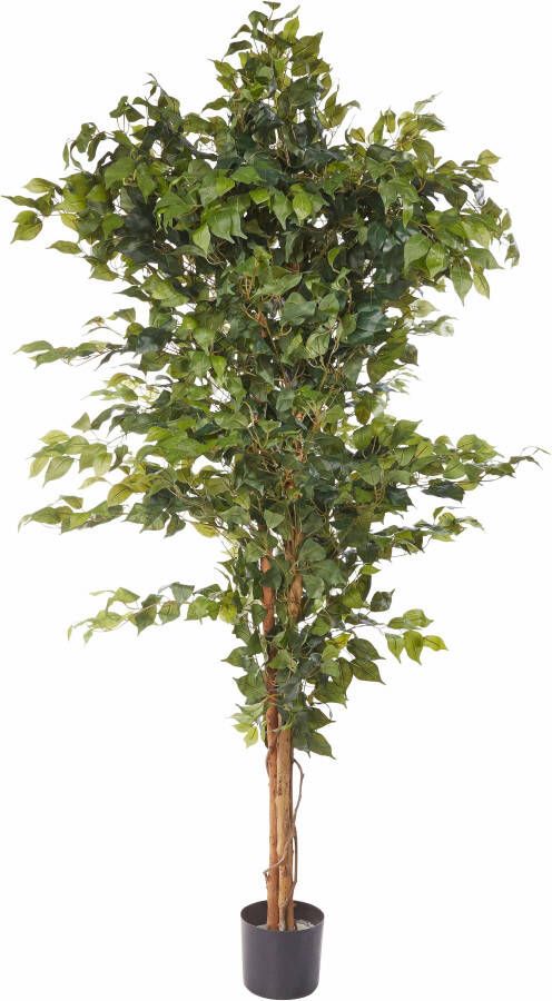 Creativ green Kunstplant Ficus Benjamini (1 stuk)