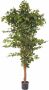 Creativ green Kunstplant Ficus Benjamini (1 stuk) - Thumbnail 1