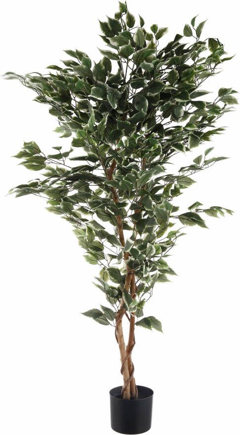 Creativ green Kunstplant Ficus Benjamini (1 stuk)