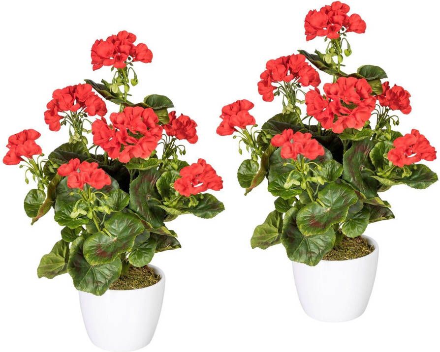Creativ green Kunstplant Geranium rood in een keramische pot (set 2 stuks)