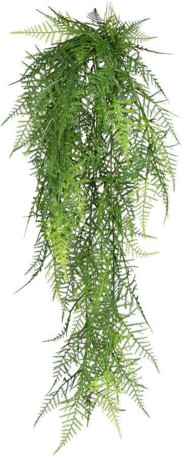 Creativ green Kunstplant Hanger Asparagus plumosus (1 stuk)