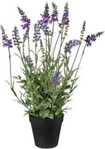Creativ green Kunstplant Lavendel in de pot