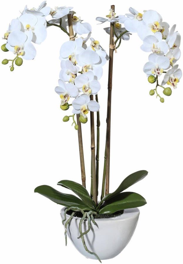 Creativ green Kunstplant Mini orchidee (1 stuk)