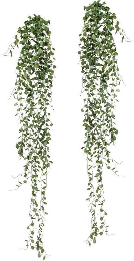 Creativ green Kunstplant Mühlenbeckia-hanger (2 stuks)