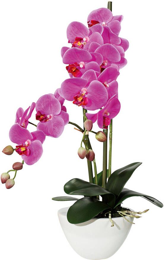Creativ green Kunstplant Orchidee (1 stuk)
