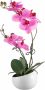 Creativ green Kunstplant Orchidee (1 stuk) - Thumbnail 1
