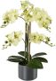Creativ green Kunstplant Orchidee (1 stuk) - Thumbnail 1