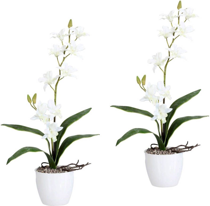 Creativ green Kunstplant Orchidee Dendrobie in een keramische pot (set 2 stuks)
