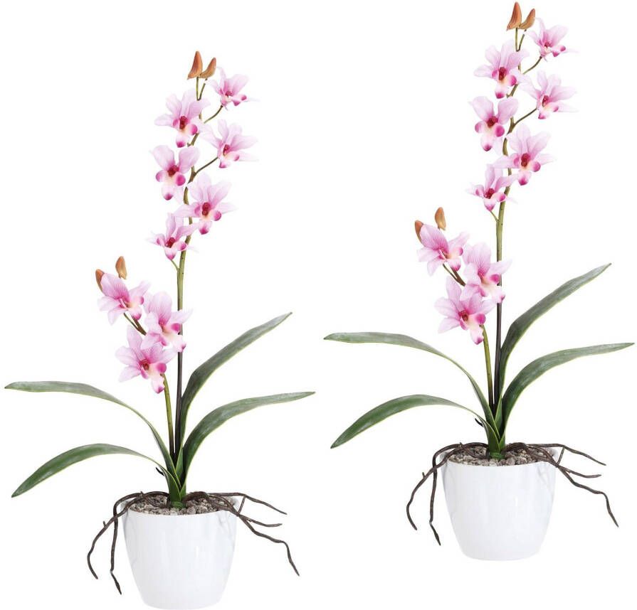 Creativ green Kunstplant Orchidee Dendrobie in een keramische pot (set 2 stuks)