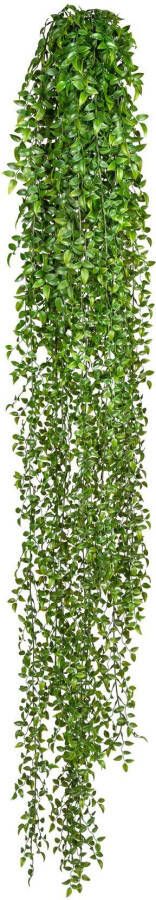 Creativ green Kunstplant Ruscus-plantenhanger (1 stuk)