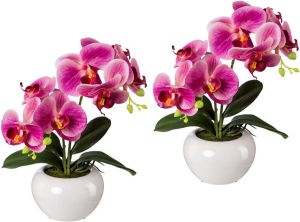 Creativ green Kunstplant set van 2 (2 stuks)