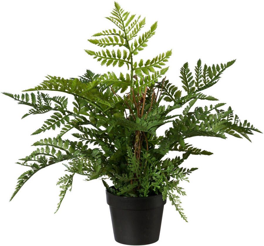 Creativ green Kunstplant Varen in een plastic pot (1 stuk)