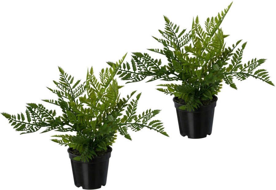 Creativ green Kunstplant Varen set van 3 in een plastic pot (3 stuks)
