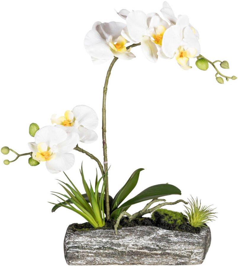 Creativ green Kunstplant Vlinderorchidee (1 stuk)