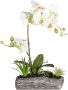 Creativ green Kunstplant Vlinderorchidee (1 stuk) - Thumbnail 1