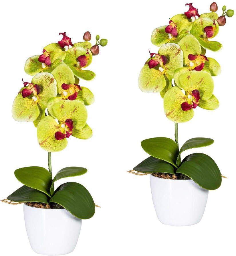Creativ green Kunstplant Vlinderorchidee in een keramische pot (set 2 stuks)