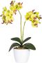 Creativ green Kunstplant Vlinderorchidee (set 2 stuks) - Thumbnail 1