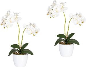 Creativ green Kunstplant Vlinderorchidee (set 2 stuks)