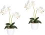 Creativ green Kunstplant Vlinderorchidee (set 2 stuks) - Thumbnail 1