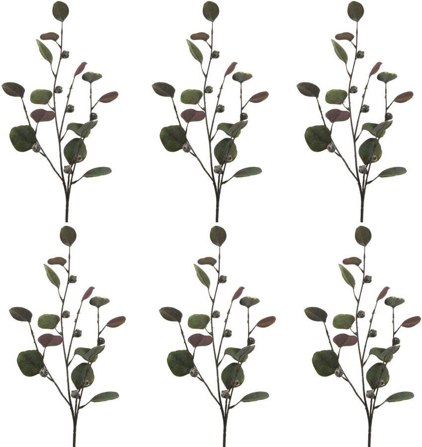 Creativ green Kunsttak Eucalyptustak (set)