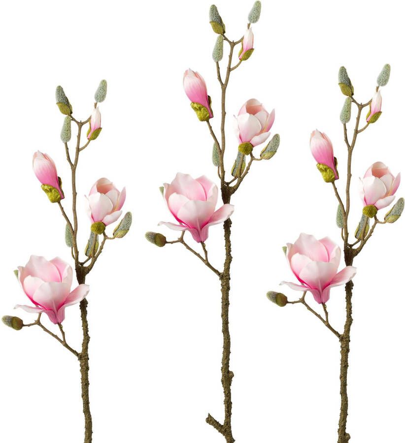 Creativ green Kunsttak Tak magnolia (3 stuks)