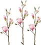 Creativ green Kunsttak Tak magnolia (3 stuks) - Thumbnail 1