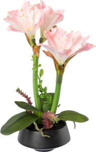 Creativ green Winterse kunstplant Kerst versiering (1 stuk)