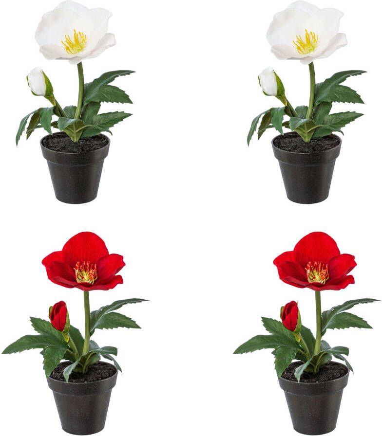 Creativ green Winterse kunstplant Kerst versiering in pot in 4-delige set (2x kleur rood en 2x kleur wit) (4 stuks)