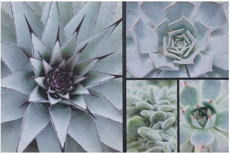 Creativ home Artprint op linnen Cactus (1 stuk)