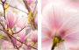 Creativ home Wanddecoratie Magnolia's (set 2 stuks) - Thumbnail 1