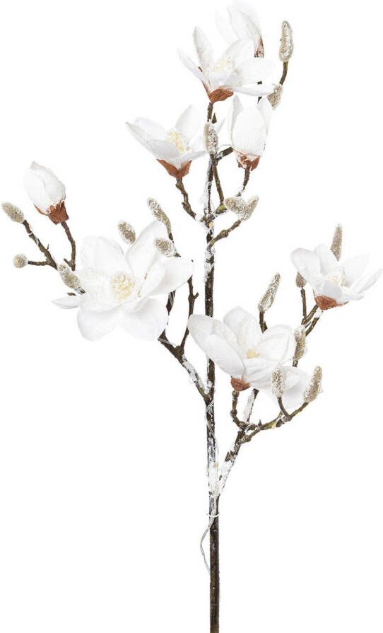 Creativ light Kunsttak Kerst versiering Magnolia in besneeuwde look 15 leds 115 cm batterij 3xAA