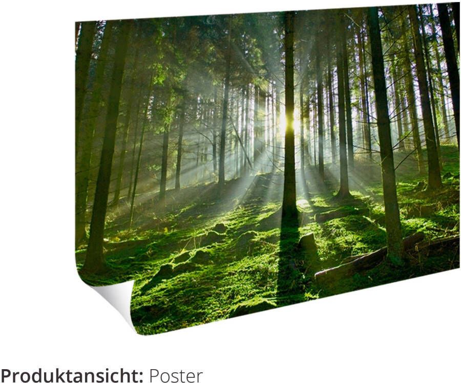 Artland Artprint Aan de Oostzeekust op Rügen als artprint op linnen poster muursticker in verschillende maten