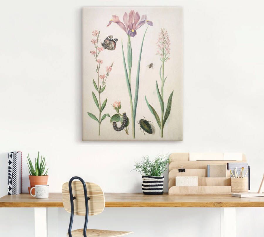 Artland Artprint Admiraal roos iris orchid. als poster muursticker in verschillende maten