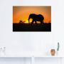 Artland Artprint op linnen Afrikaanse olifant bij zonsondergang - Thumbnail 3