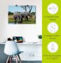 Artland Artprint Afrikaanse olifanten als artprint op linnen poster in verschillende formaten maten - Thumbnail 5