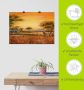 Artland Artprint Afrikaanse steppe met leeuwen als artprint van aluminium artprint voor buiten artprint op linnen poster muursticker - Thumbnail 6